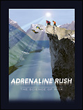 Adrenaline, la science du risque